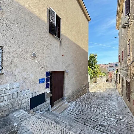 Flowers Pula, Center 2 Pula