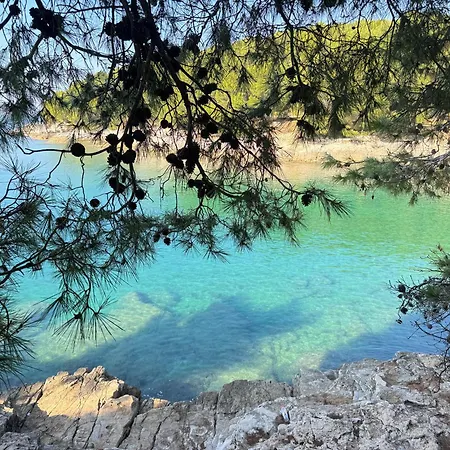 Flowers Pula, Center 2 Apartman *