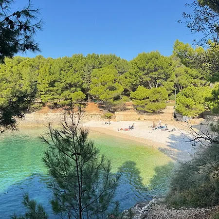 Flowers Pula, Center 2 Apartman Pula