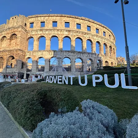 Flowers Pula, Center 2 Pula