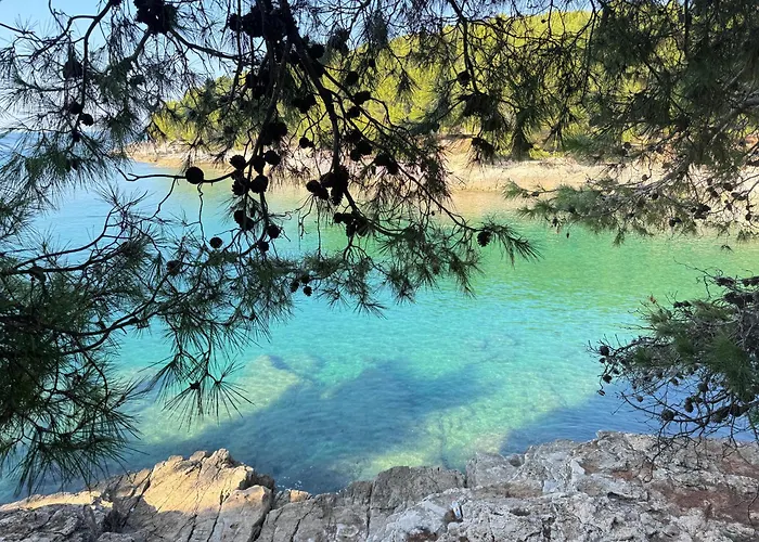 Flowers Pula, Center 2 Apartman *