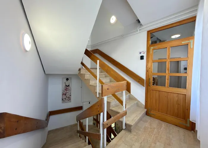 Flowers Pula, Center 2 *